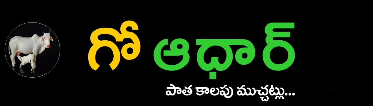 Logo with text and a cow icon on a black background